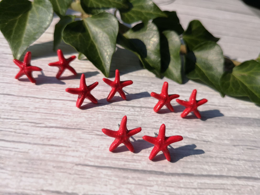 Morska Zvezdica